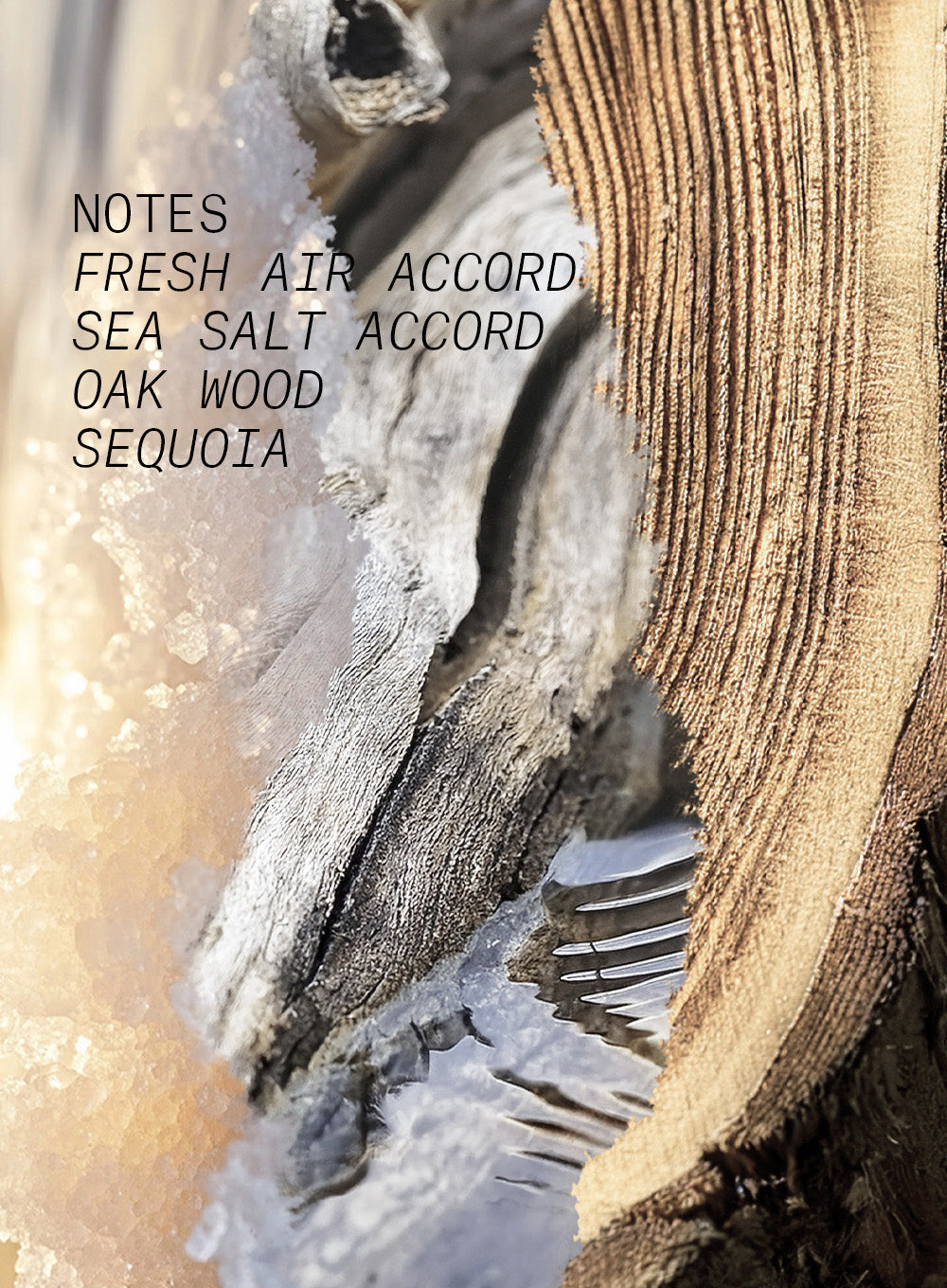 SALTY WOOD