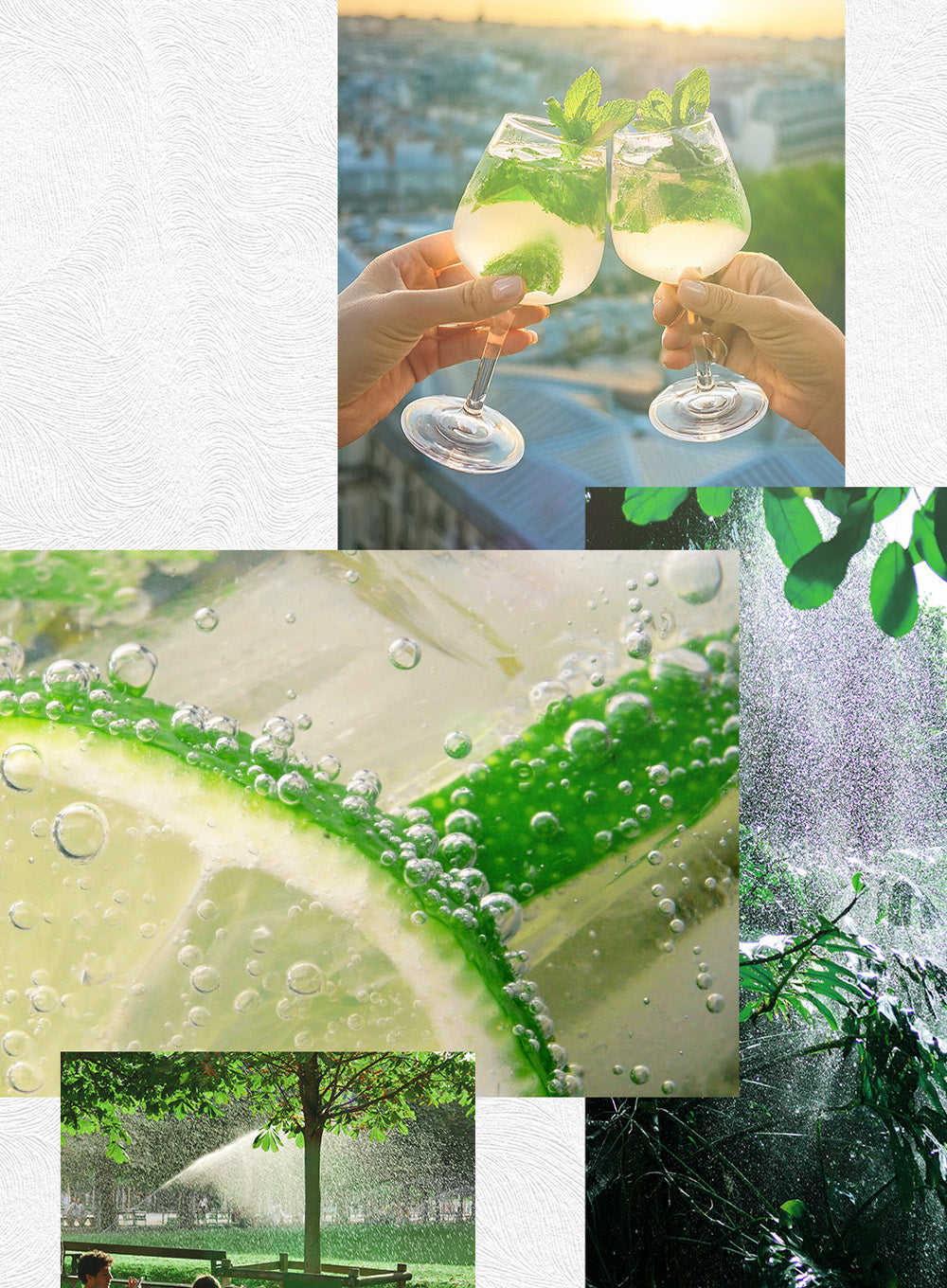 GREEN CRUSH