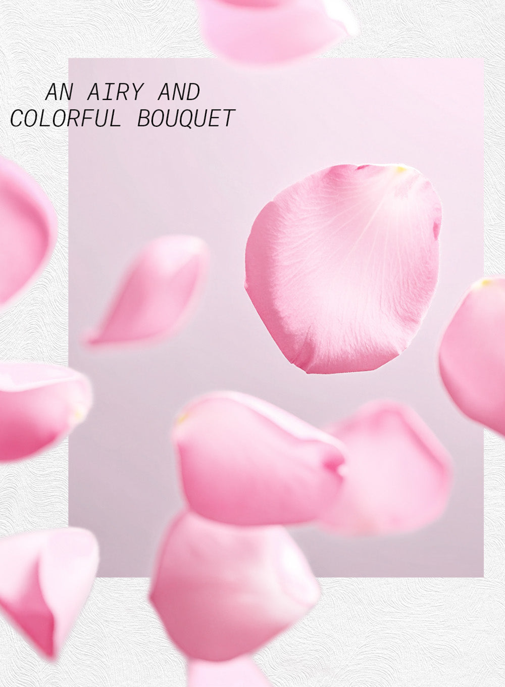 CŒUR DE PÉTALES